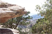Tucson 2603